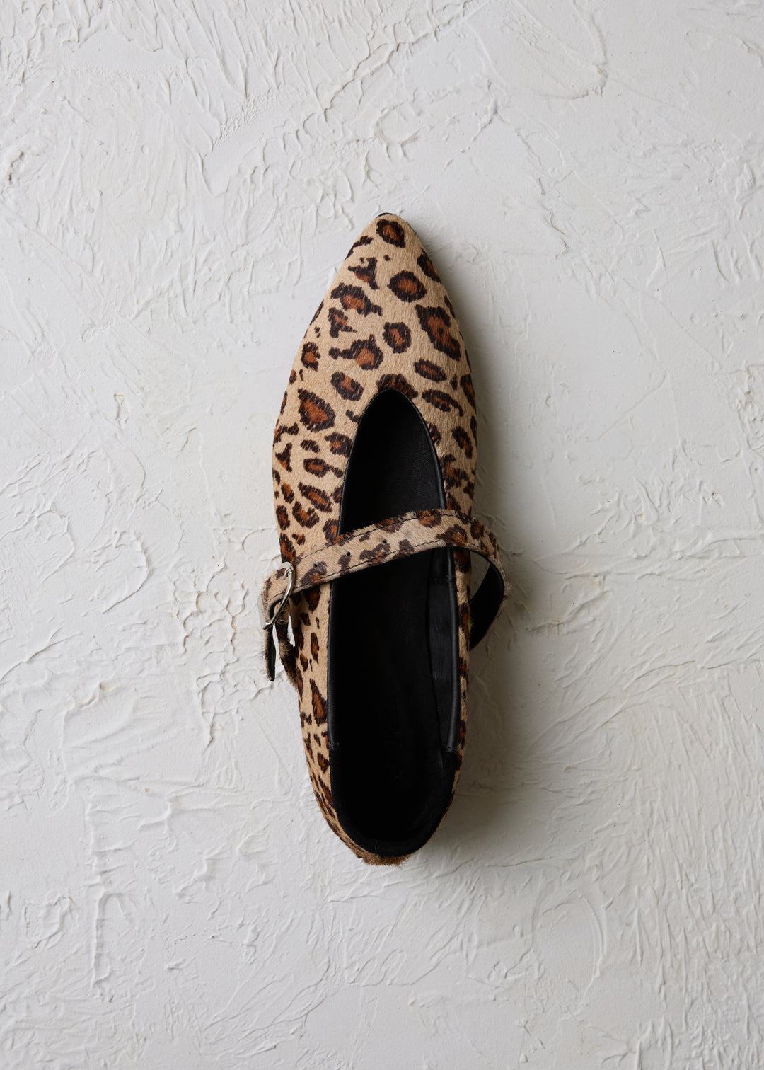 Ballerina Jolie Print